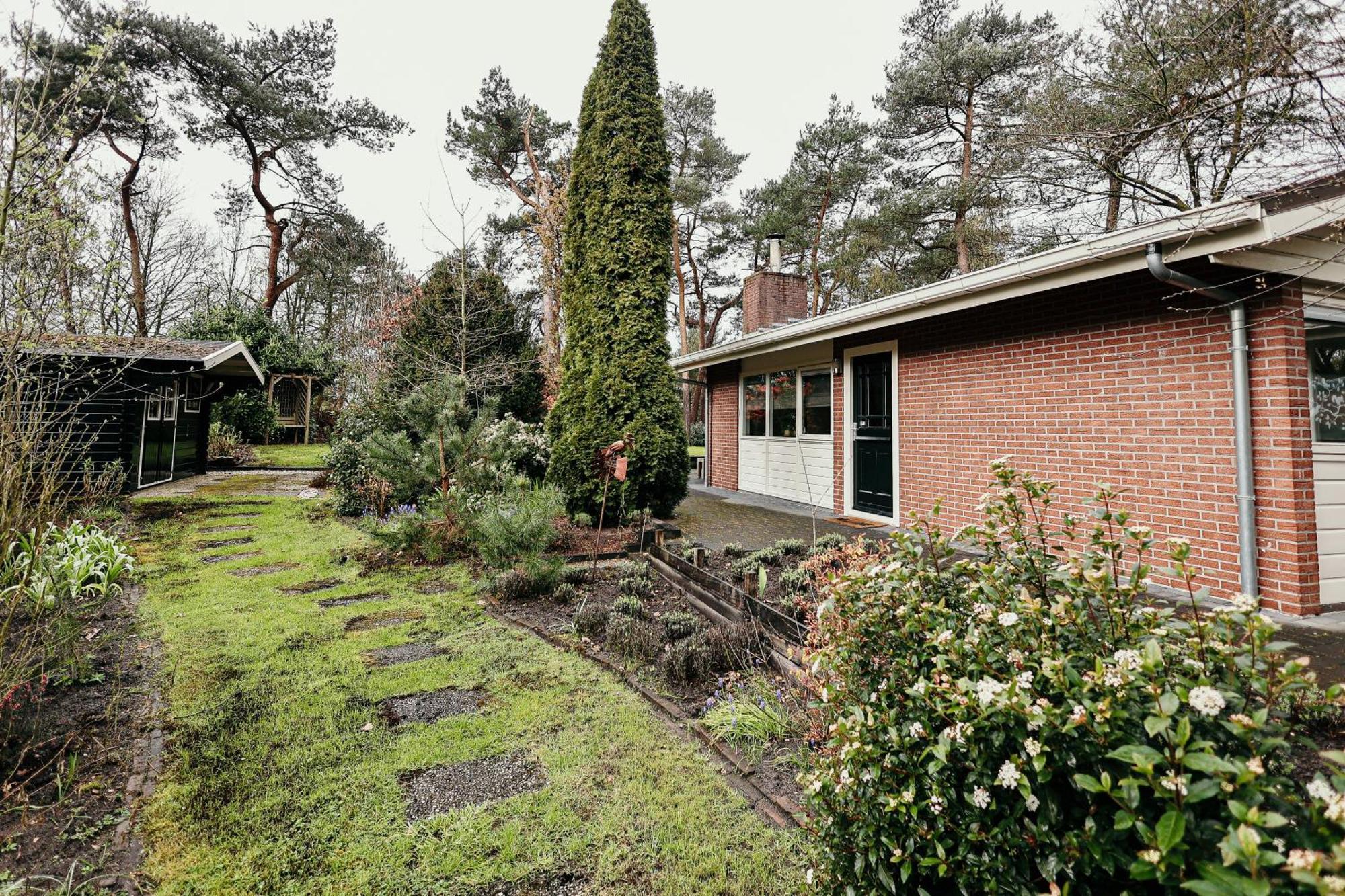 Rheezerveen Huisje Elfde Wijk מראה חיצוני תמונה